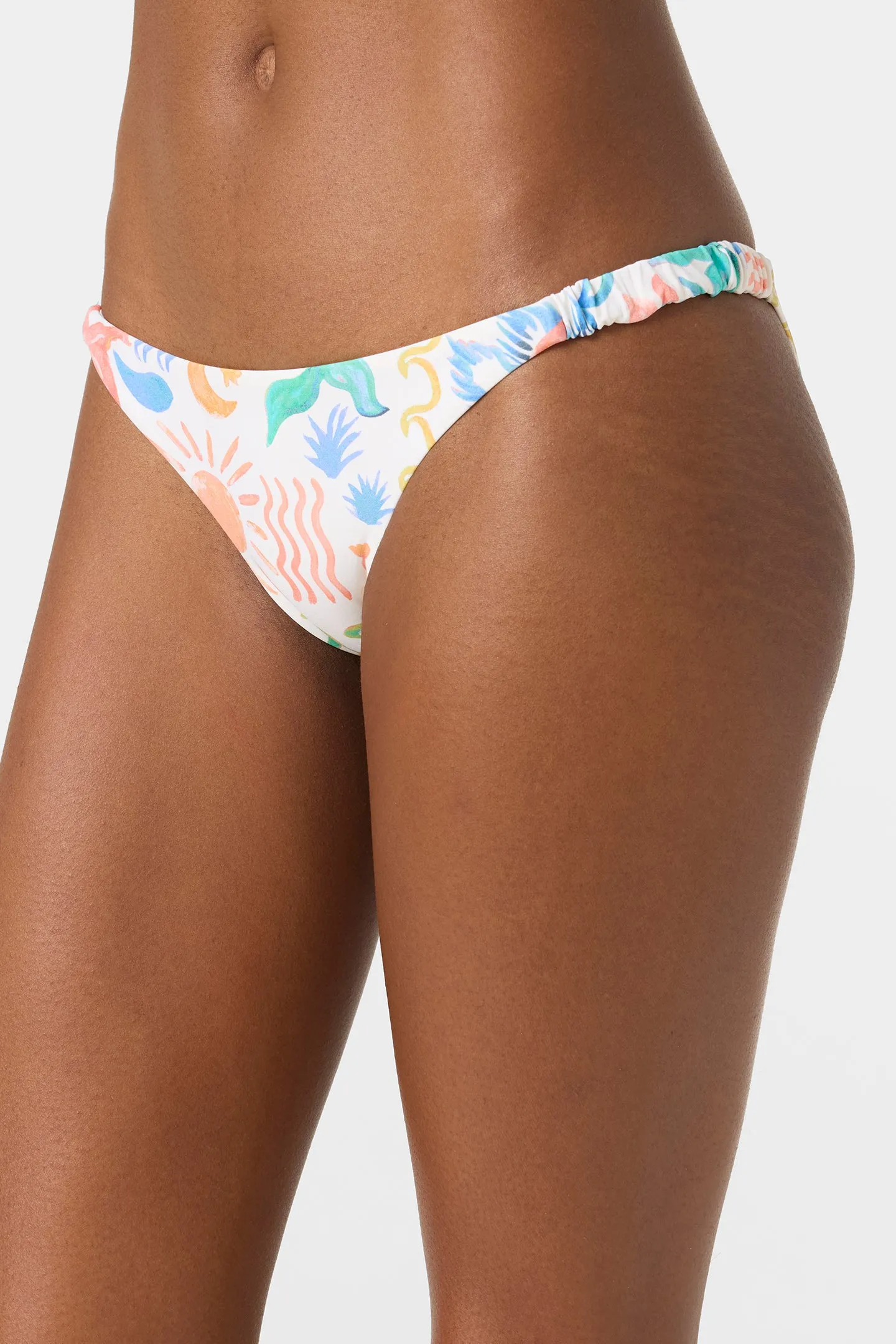 BAHIA PENSACOLA MEDIUM BOTTOMS