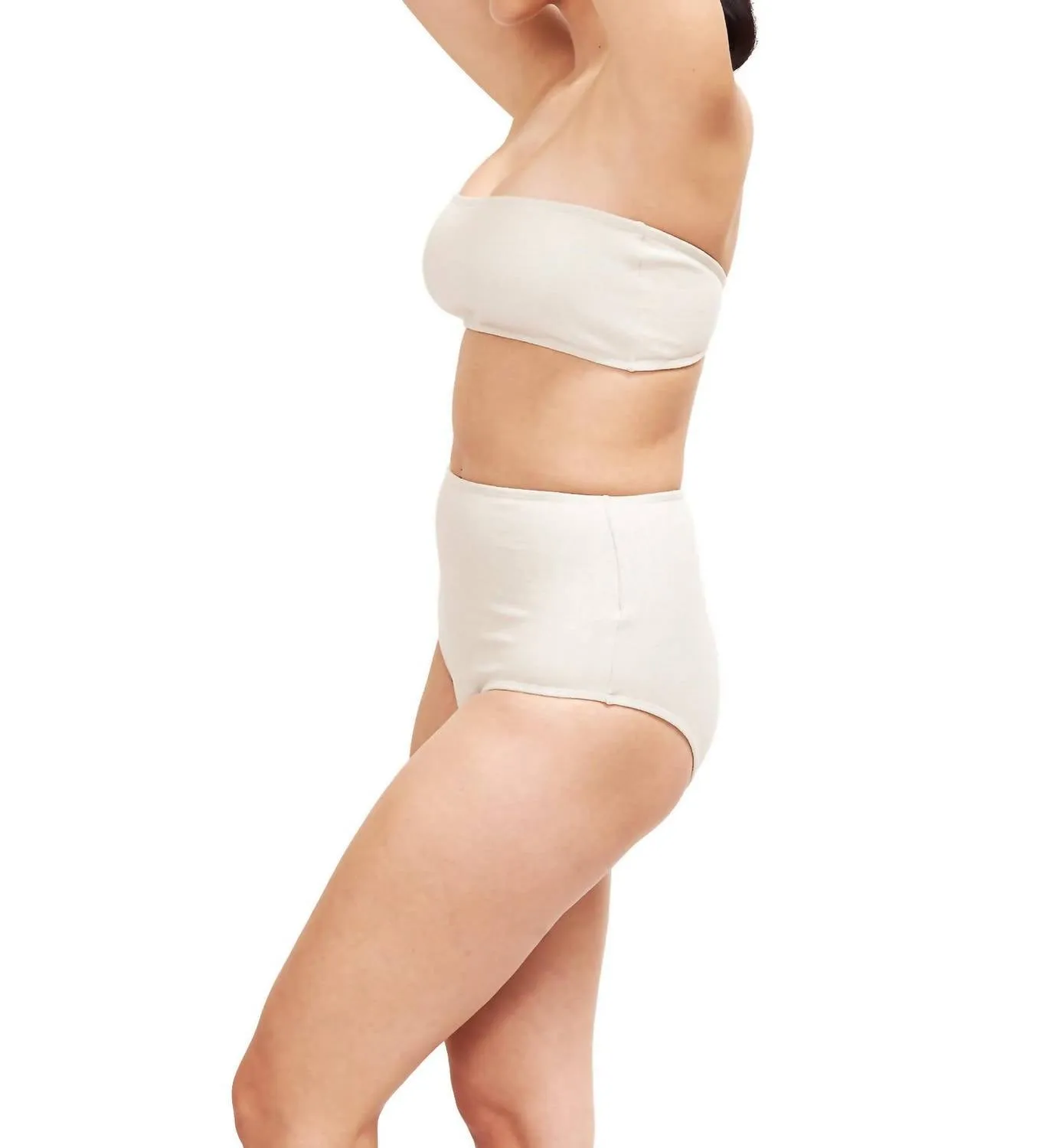 Bella High Waisted Bikini Bottom In Platinum