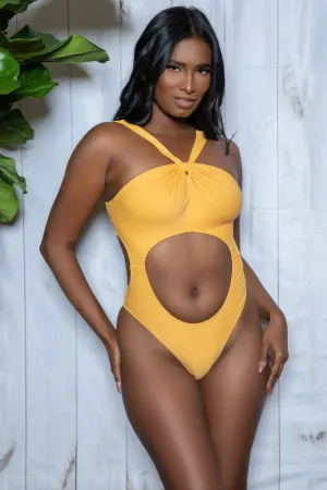 FASHNZFAB Emily Swimsuit