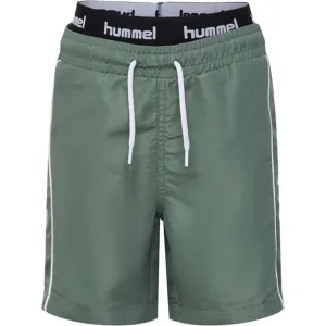 Hummel Laurel Wreath Blake Board Shorts