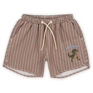 Konges Sljd Tigers Eye Seer Asnou Swim Shorts Grs